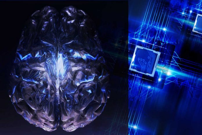 human brain neural net deep mind