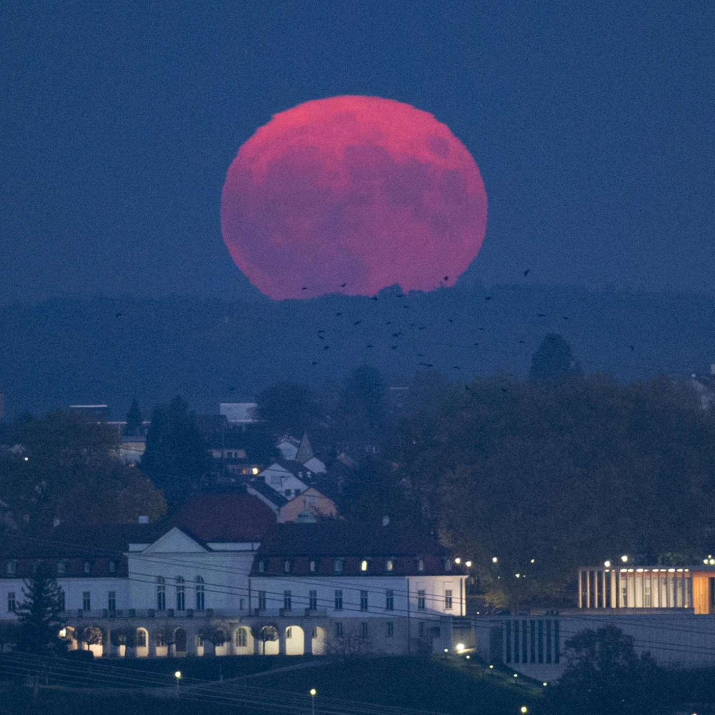 blood moon