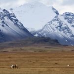 Iceland Farmlands